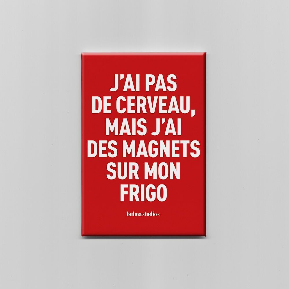 Magnet "J'ai pas de cerveau mais j'ai des magnets sur mon frigo"